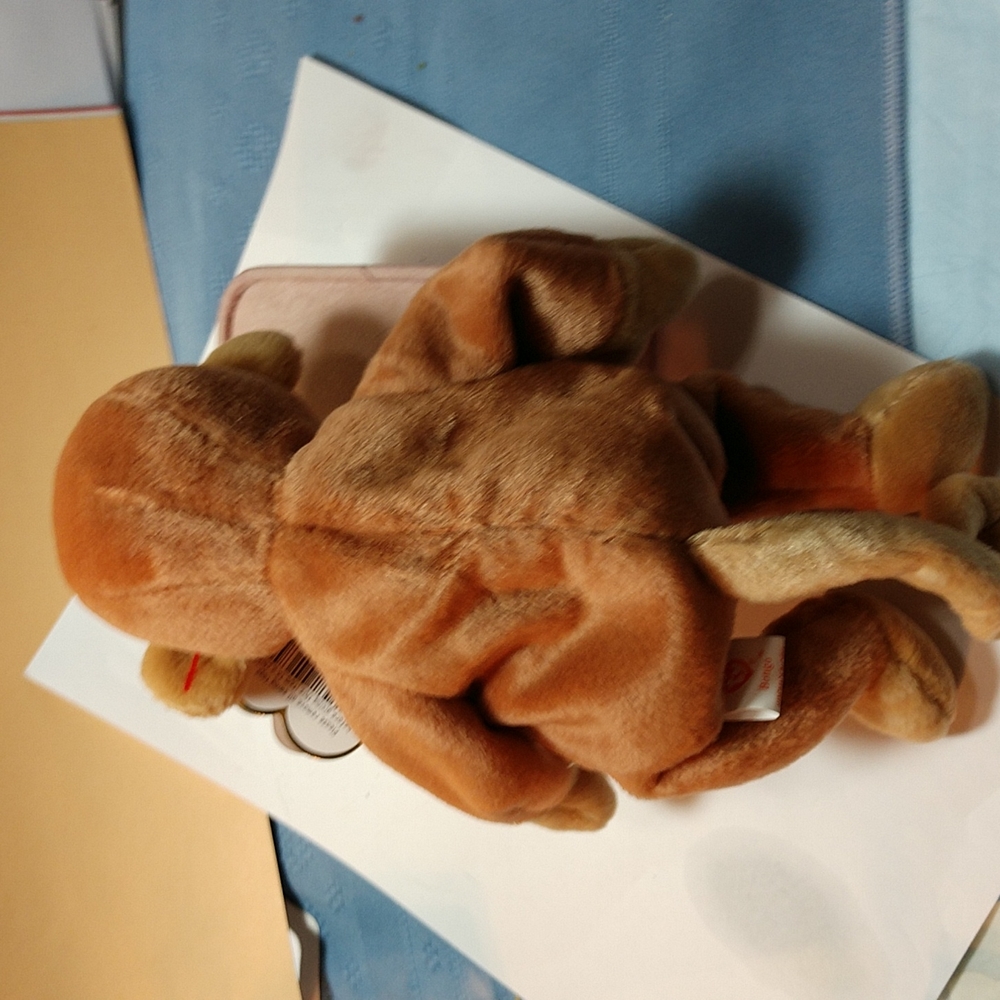 RARE 1995 BONGO TY Beanie Baby Brown Tan Ears- Face-Feet-Hands-Tail #4067 Retire - Picture 9 of 17
